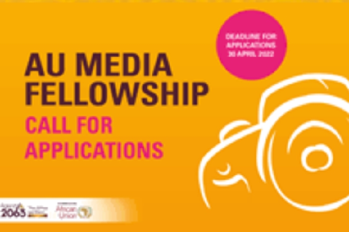 The African Union Media Fellowship